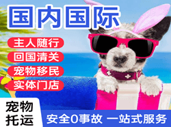 乌鲁木齐地窝堡航空货运国际宠物托运 【国